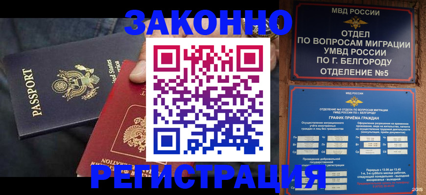 прописка законно в Камышлове